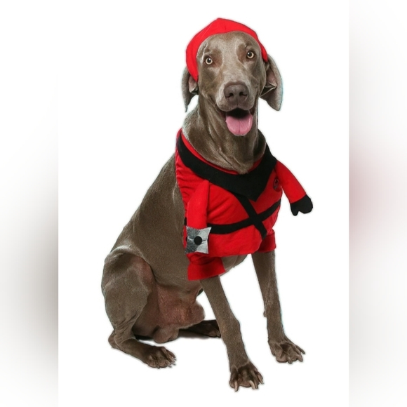 Vibrant Life Halloween Dog or Cat Costume Ninja Small 17-20 inches - Picture 2 of 7